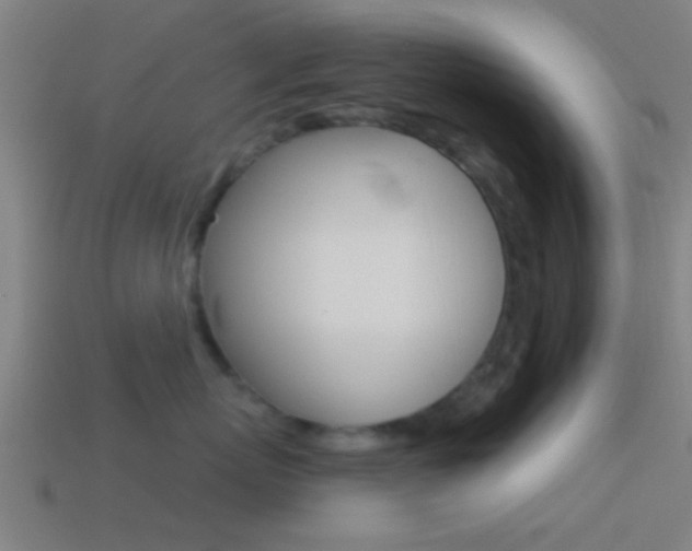 X0000114510767200910190929