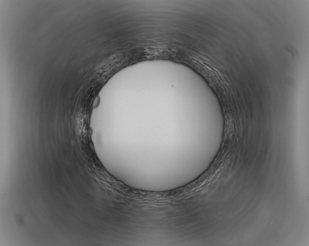 X0000114510770200910190928