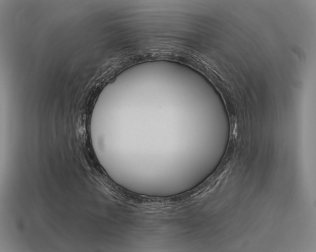 X0000114510771200910190928