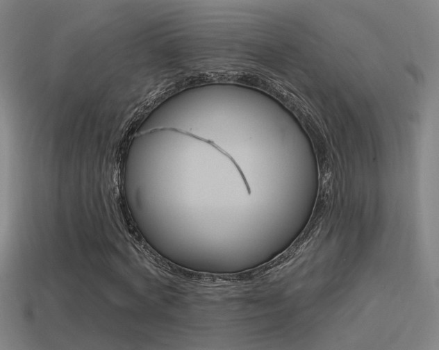 X0000114510772200910190928
