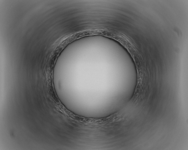 X0000114510773200910190928