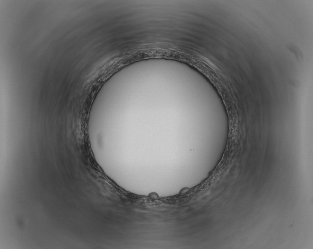 X0000114510774200910190928