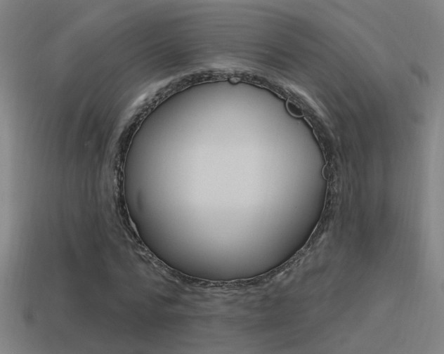 X0000114510776200910190928