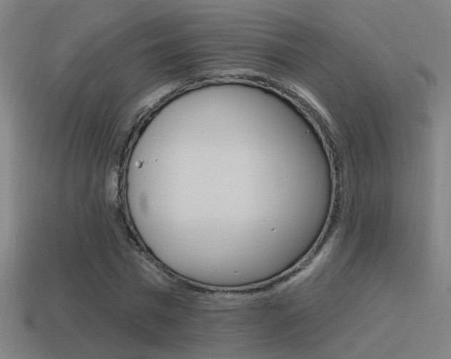 X0000114510777200910190928