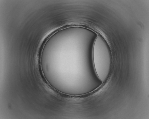 X0000114510779200910190928