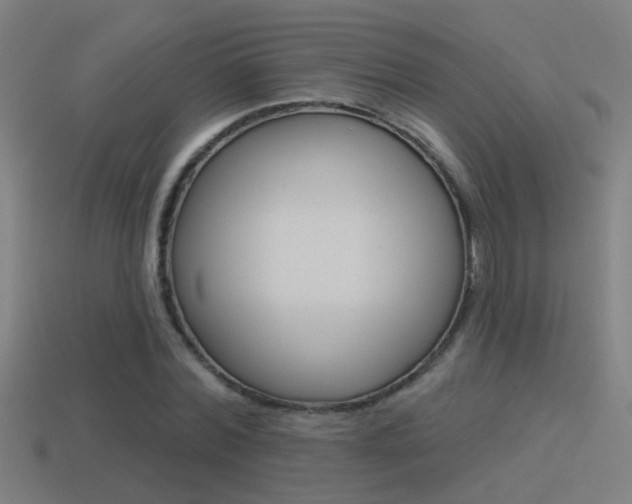 X0000114510780200910190928