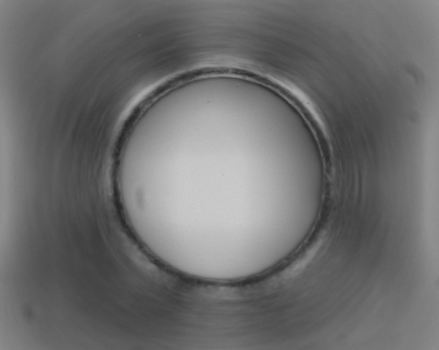 X0000114510783200910190928