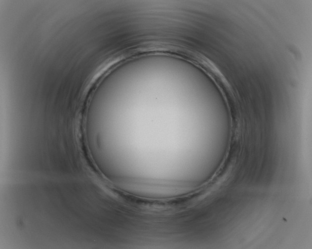 X0000114510786200910190928