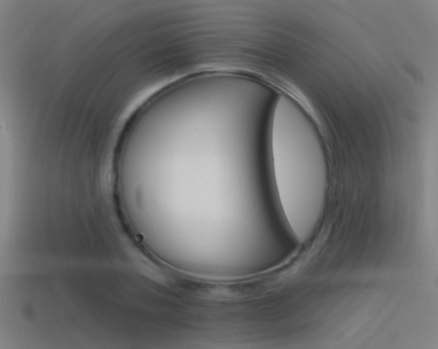 X0000114510787200910190928