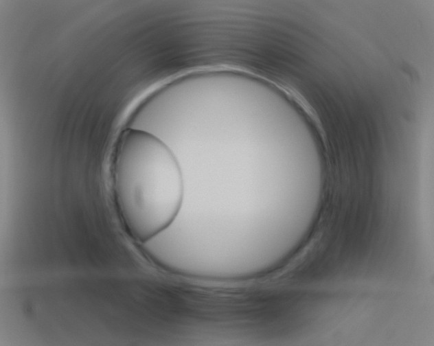 X0000114510789200910190928