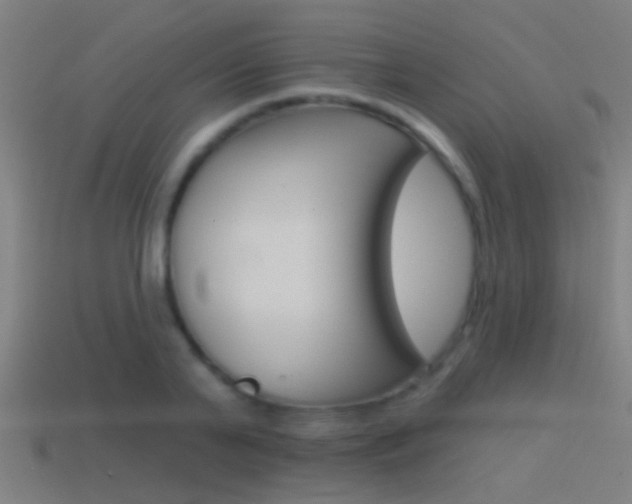 X0000114510791200910190928