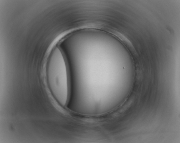 X0000114510792200910190928