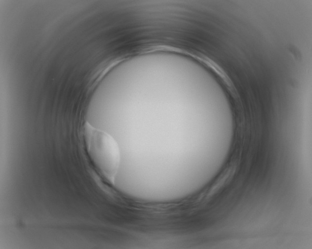 X0000114510793200910190928