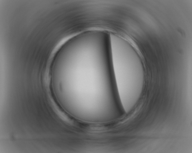 X0000114510795200910190928