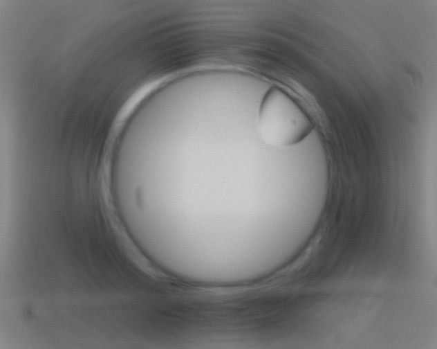 X0000114510796200910190928