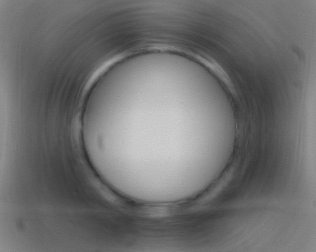 X0000114510798200910190928