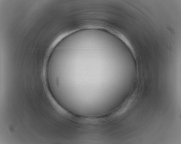 X0000114510803200910190928
