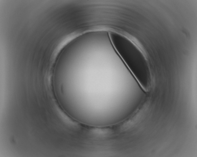X0000114510805200910190928