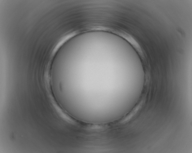 X0000114510806200910190928