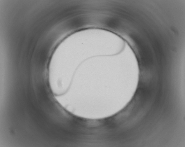 X0000114510807200910190928
