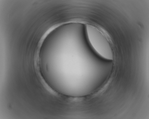 X0000114510808200910190928