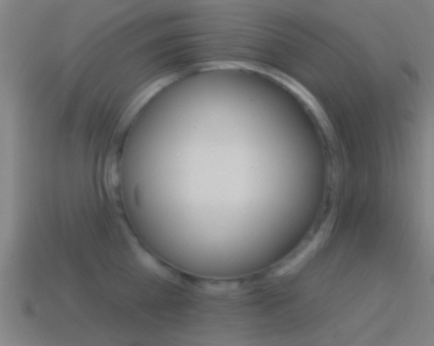 X0000114510809200910190928