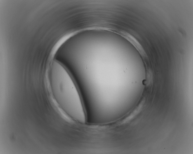 X0000114510812200910190928