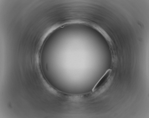 X0000114510813200910190928