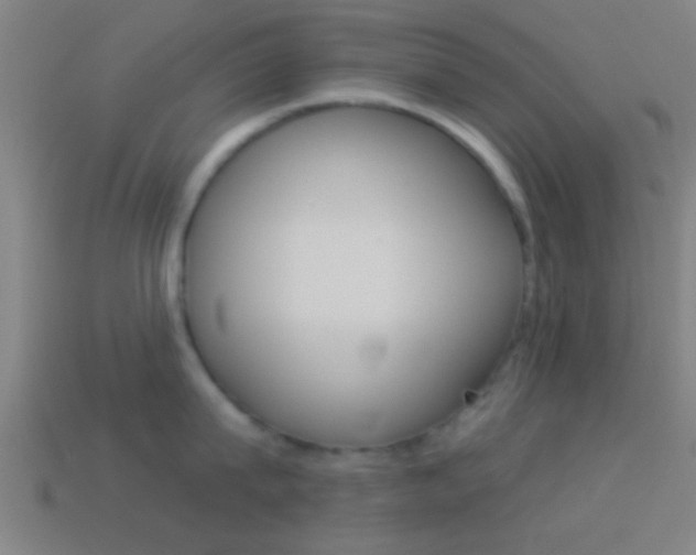 X0000114510815200910190928