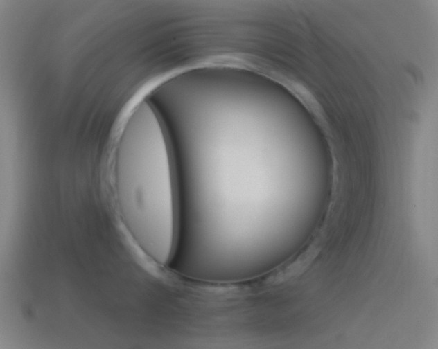 X0000114510816200910190928