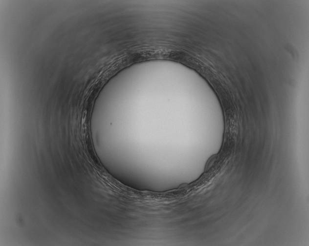X0000114510818200910190927