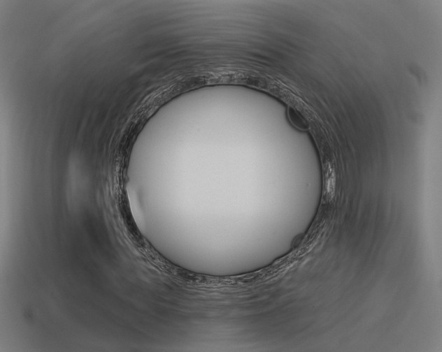 X0000114510819200910190927