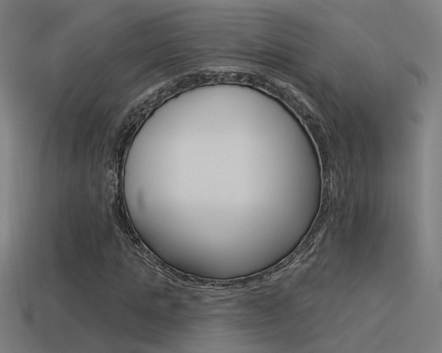 X0000114510821200910190927
