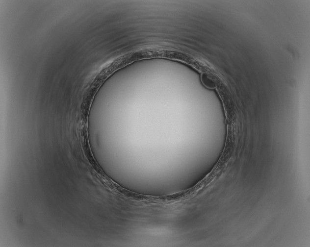 X0000114510822200910190927