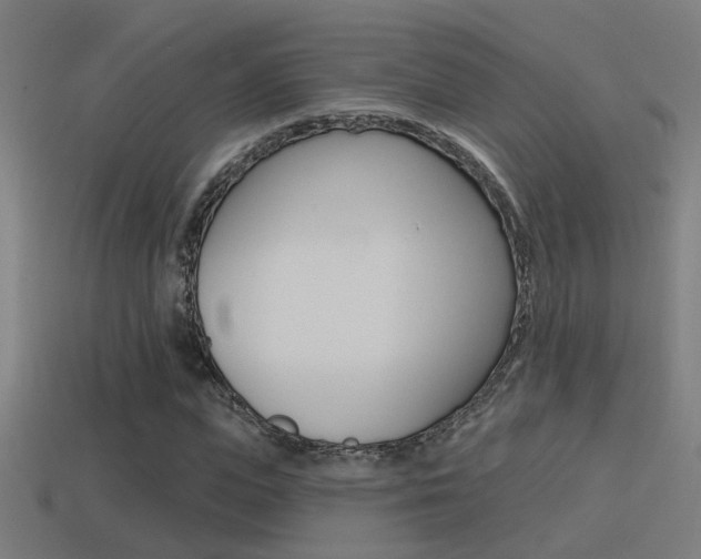 X0000114510823200910190927