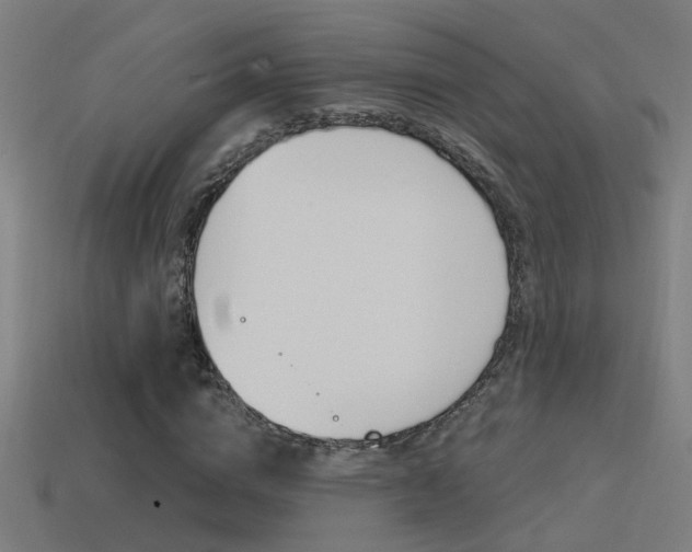 X0000114510824200910190927