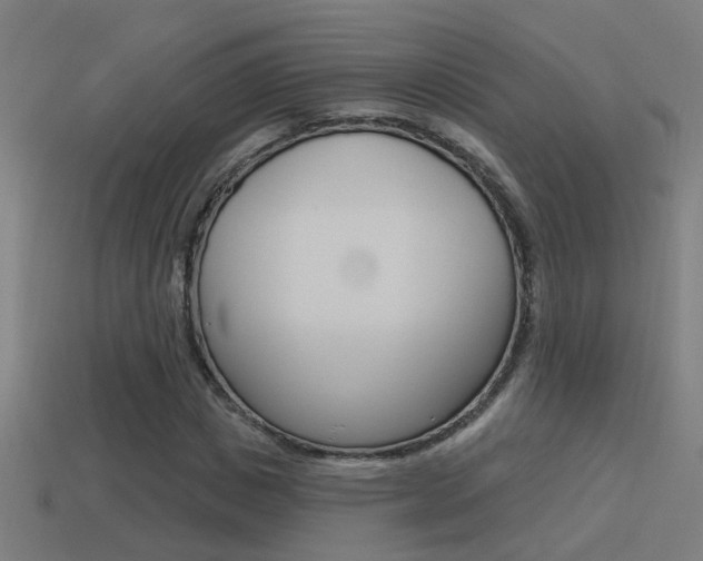 X0000114510825200910190927