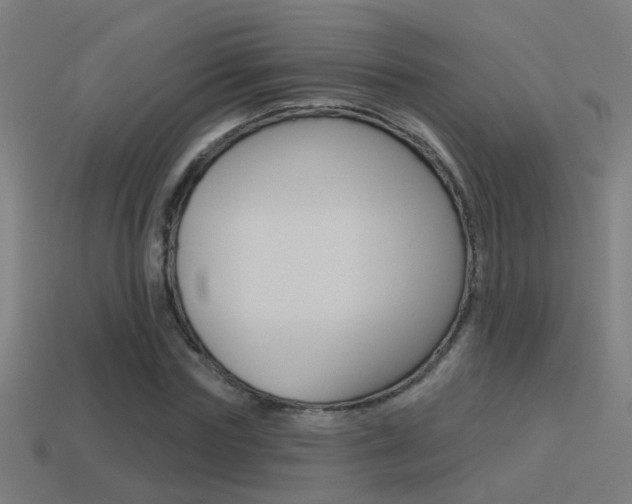 X0000114510827200910190927