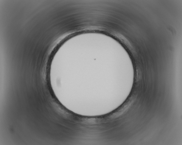 X0000114510828200910190927