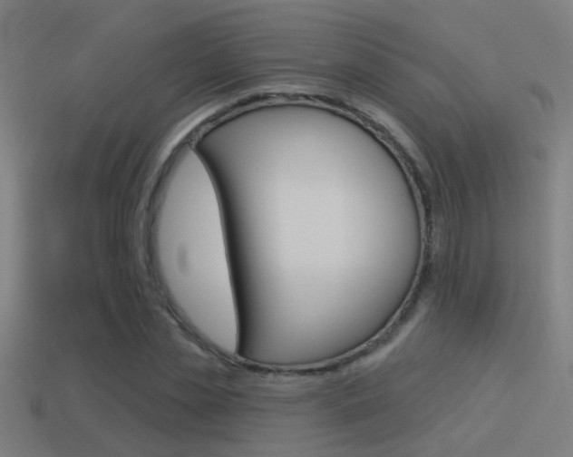 X0000114510829200910190927