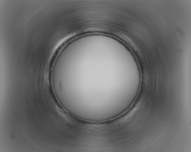 X0000114510830200910190927