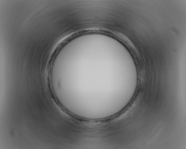 X0000114510831200910190927
