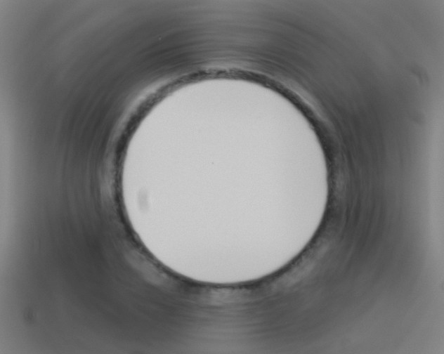 X0000114510832200910190927