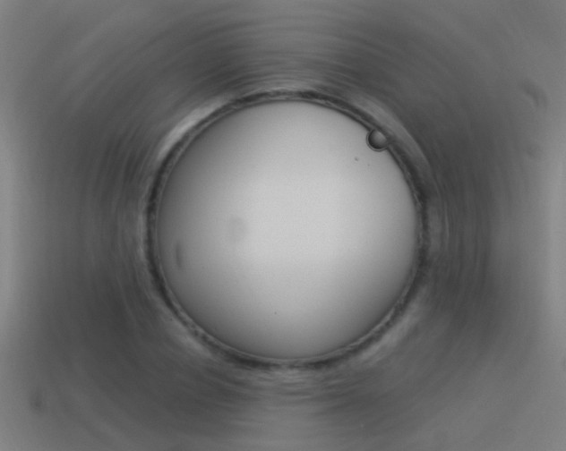 X0000114510834200910190927