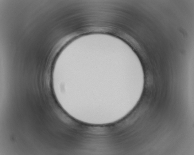 X0000114510836200910190927
