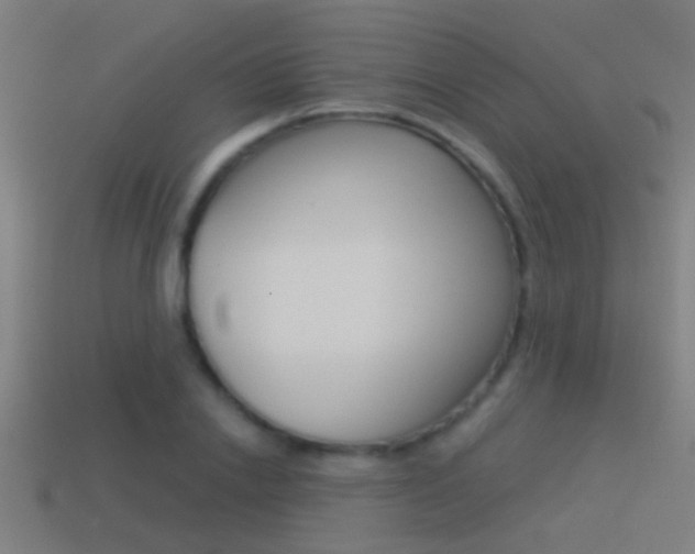 X0000114510838200910190927