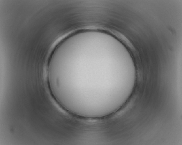 X0000114510839200910190927