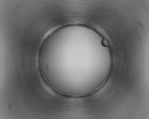 X0000114510842200910190927