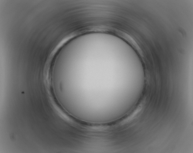 X0000114510843200910190927