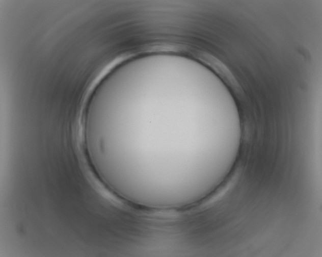 X0000114510844200910190927